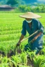 Placeholder: Asian farmer growing cover crops