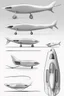 Placeholder: ideation aeroplane airmed inspired by shark with side view, quarter view and front view