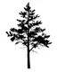 Placeholder: isolated spruce/pine tree silhouette, black on white clipart
