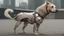 Placeholder: hybrid human dog