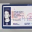 Placeholder: full view of a low-res, flat vector image, United States passport card with photo of person, transparent background.