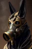 Placeholder: a mask that combines a gas mask, and Anubis