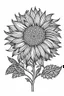 Placeholder: sunflower minimalistic, line art, background, vector, svg, coloring page, black outline on white background