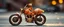 Placeholder: sparks blazing, seen from back wheel , tattoo style, motion blur, airbrush art, transparent giger ant with spiked helmet riding hands on an awesome roadster bike with ornate broad wheels, spaceship in copper, fast one in the shape of a transparent snail , now its gonna do an awesome gig , bokeh like f/0.8, tilt-shift lens 8k, high detail, smooth render, down-light, unreal engine, prize winning