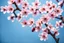 Placeholder: fantastic light pin blue background with three rows of four evenly spaced cherry blossoms