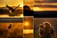 Placeholder: Prompt: Golden Hour The golden hour, occurring after sunrise and before sunset, bathes scenes in a gentle, amber glow. It’s perfect for producing nostalgic or romantic images. pouncing, golden eagle, golden hour backlighting, rim lighting, dark ambience, crepuscular rays, dynamic colours --ar 850:512 --iw .5 --s 50