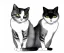 Placeholder: illustration cat isolated white backdrop