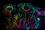 Placeholder: black background, outlines of a holographic flower garden drawn from thin neon-coloured glowing lines