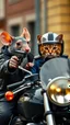 Placeholder: a rat gangster holding a gun toward a police cat , the can hands up officer uniform , and a helmet.riding on a motorcycle , realistic , pro photography , high quality, and cinematic scene