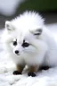 Placeholder: Cute polar fox hedgehog