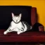 Placeholder: oil portrait of a Cat Sleeping in a Black sofa by Ignacio Zuloaga 8k