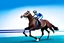 Placeholder: horse racing isolated in a blue background photo studio