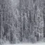 Placeholder: winter landscape, ice field, crystals, dreamlike, foggy, lost in the woods