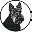 Placeholder: circle containing a black and white image of a Scottish terrier