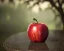 Placeholder: Red apple on the table with a drop of dew, detailed,ultra graphics,