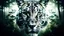 Placeholder: a surreal double exposure photograph depicting a silhouette a face of a siberian tiger and a dense jungle, background should be minimalist and grey, hd ,utr, photogenics, hints of green luminescence