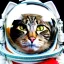 Placeholder: Cat portrait in space suit