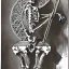 Placeholder: skeleton, vitruvius man, playing drums, art nouveau,