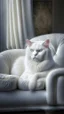 Placeholder: White cat, sitting on a sofa hdr