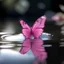 Placeholder: a pink butterfly inside the water