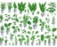 Placeholder: Vector plants and herb set illustration. Watercolor white backdrop