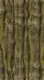 Placeholder: seamless texture rough texture of an elm tree trunk flowing vertical