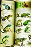 Placeholder: different variations of amphibians montage science book style