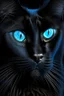 Placeholder: Black cat looking straight ahead with blue eyes, black background