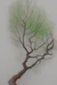 Placeholder: Realistic drawing with colored pencils of a tree on a white background