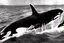 Placeholder: An orca army pod fighting in WW2, swimming up a stream to attack, orca insurgents