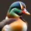 Placeholder: pixar style, volumetric summer garden environment and background, realistic painting of an mandarin duck, looking excited, volumetric lighting, dramatic lighting, detailed digital painting, extreme dense and fine fur, anime, ornate, colour-washed colors, elegant, small minutiae, tiny features, particulars, centered, smooth, sharp focus, renderman gofur render, 8k, uhd, detailed eyes, realistic shaded volumetric lighting, sunlight caustics, backlight, centered camera view