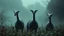Placeholder: A dark fantasy, scifi theme, from four herd of gentle herbivorous creatures with long necks, one large central eye, Each creature has ONE SINGLE EYE ONLY, one large eye positioned exactly in the center of the face, no second eye, no extra eyes. and two little ears on head and small separate herbivore mouth , no teeth or fangs , rounded bodies dark gray-green skin, standing in a misty landscape with deep colors and many plants,. Curious, slightly uncanny expressions, photorealistic, cinematic