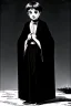 Placeholder: pallid 7 year old boy genie, necromancer, friendly,wearing black robes, with the lower body of a genie instead of legs, in the style of Harry Clarke