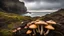 Placeholder: Ground-level shot of exotic giant mushrooms with tentacles on a rocky shoreline, cloud trees, and cliffs