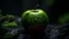 Placeholder: A vibrant apple sitting on a wet rock covered with moss. The image showcases naturalism with an organic 8k artistic photography style. The background emphasizes the apple body creating a bright and powerful composition,grey dark backround,dramatic scene