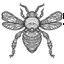 Placeholder: outline art for instects for adults with housefly , white background, Sketch styl, only use outline. clean line art, no shadows and clear and well outlined, Intricate Patterns and Details