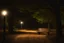 Placeholder: Night, square bench, dirt roads, trees, photography