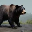 Placeholder: unreal 5, octane render,cinema4d, dynamic lighting, dramatic lighting, 4k, redshift render, highly detailed, hyper realistic,anthropomorphic black bear long