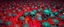 Placeholder: a field of 1000s of psychedelic psilocybin induced anatomically correct, skulls, vivid RANDOM BRIGHT neon colors, dark comedy, well lit, high detail, photorealistic, horrorcore, fun, scary, none featured, each a different color or hue,