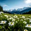 Placeholder: Vista en primer plano de un campo de margaritas blancas sobre un fondo de Alpes suizos, con cielo celeste, con una paleta de colores brillantes y contraste fuerte, tipo fuyifilm, luz solar de mediodía, y ambiente de comienzos de primavera pero con clima aún frío.