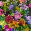 Placeholder: close up photo of different colorful flowers, soft light, 100mm lens, f / 2.8 , unreal engine 5.1, ultra high resolution, photorealistic, ultra high detail, octane render, beautiful