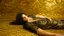 Placeholder: Woman lying on a golden ornate surface, with a patterned background