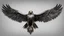 Placeholder: iron eagle with rivets full wingspan