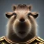 Placeholder: Capybara wizard