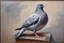 Placeholder: sitting Pigeon oil painting