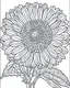 Placeholder: real massive Zinnia flower coloring page