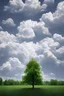 Placeholder: A tree made of hyperrealist clouds, beautiful, plain clean and clear sky in the background