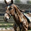 Placeholder: A hyper-realistic image of a racehorse in a race, with close-up photo-realistic hyper details, unique textures, and dynamic movement --ar 4:3 --v 7