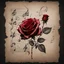 Placeholder: Hyper realistic sketch of a red rose & musical notes on a vintage paper on side with dark background