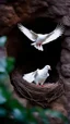 Placeholder: A white dove sitting in a nest i font of A very fine spider web covering the cave entrance in front of a dark cave entrance . Beg birds nest with a dove sitting in it inBOKEH shot style of time-lapse photography, fujifilm provia 400x, 100mm lens, luminous shadows, renaissance-inspired , home and garden, wildlife nature photography, HDRI.